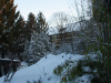 bild-4